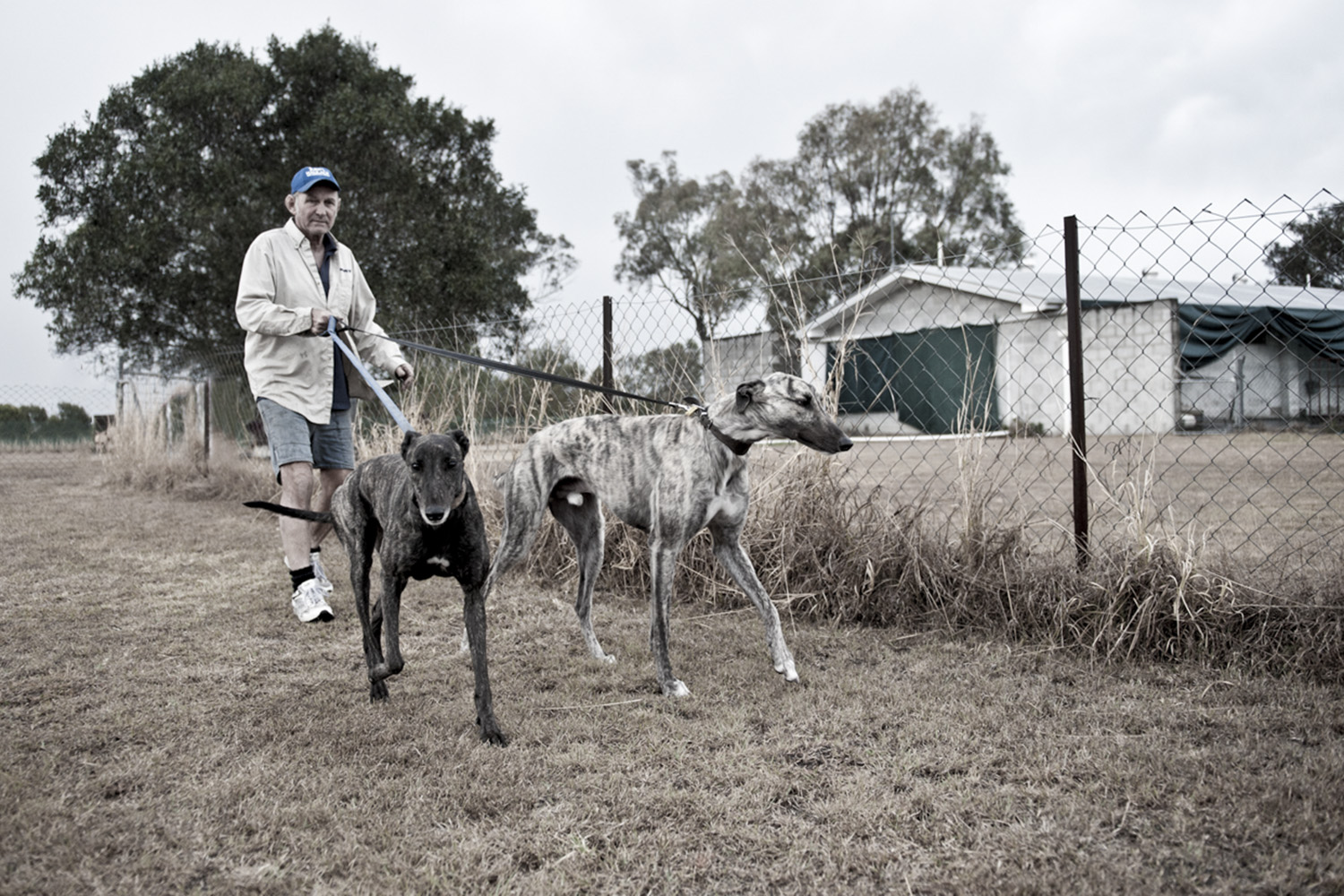 image of AARONTAIT COPYRIGHTED 2014 436a DOCUMENTARY PHOTOGRAPHER REPORTAGE LIFE SPORT DOGS GREYHOUND RACING STORY HUMAN DISHLICKER DISH LICKER 